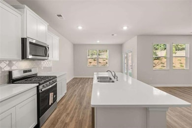 201 Lauritsen Way, Newnan, GA 30265 - photo 4