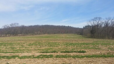00 State Route 54 unit LOT 2, Watsontown, PA 17777 - photo 6