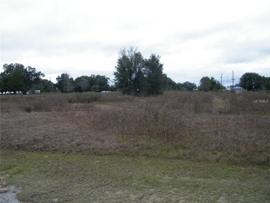 0 Bryant View Ct, Zephyrhills, FL 33540 - photo 5