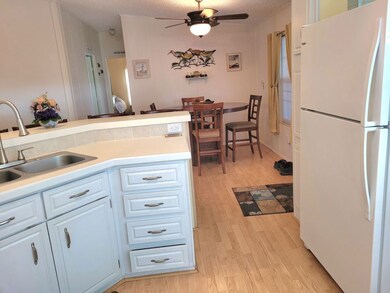 6226 Jessup Dr unit 437, Zephyrhills, FL 33540 - photo 3