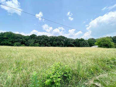 IMG_0113