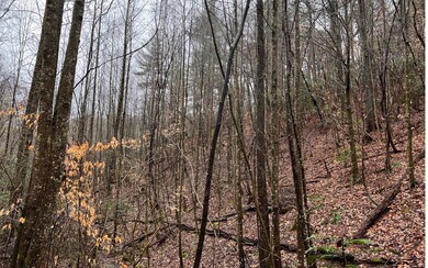 0 Hancock Dr unit 323119, Ellijay, GA 30540 - photo 6