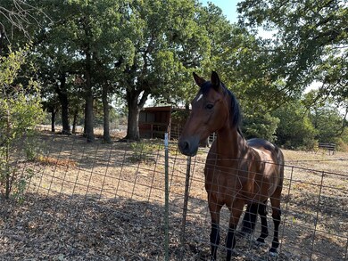 1045 County Road 4360, Decatur, TX 76234 - photo 4
