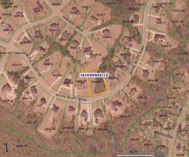 341 Royal Bluff Rd, Jacksonville, NC 28540 - photo 2