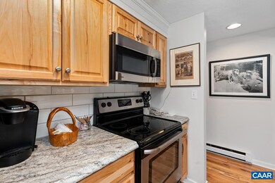 2107 Fairway Woods, Wintergreen Resort, VA 22967 - photo 5