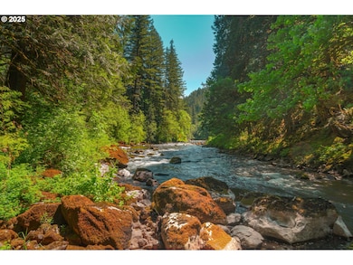 25815 NE Lucia Falls Rd, Yacolt, WA 98675 - photo 6