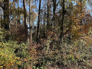 0 Apache Dr unit 1523744, Jackson, GA 30233 - photo 3