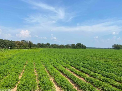 04 Alabama 21, Atmore, AL 36502 - photo 3