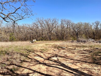 1978 Cain Ln, Weatherford, TX 76088 - photo 3