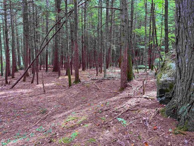 0 Hoey Rd, Cavendish, VT 05142 - photo 4