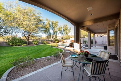 Gorgeous backyard