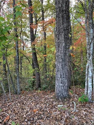 Trees on lot