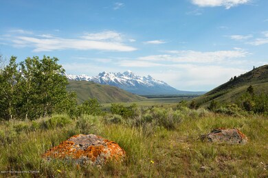 Teton views