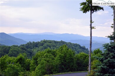 518 Indian Paintbrush Dr unit RO-1 Echota on the R, Banner Elk, NC 28604 - photo 4