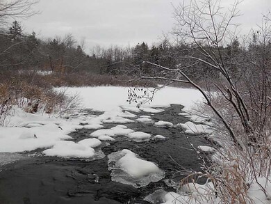 Lot #1 Off Rd S, Parsonsfield, ME 04047 - photo 4
