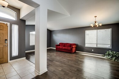 No carpet