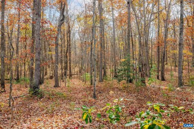 Lot 6 Coles Rolling Rd, Scottsville, VA 24590 - photo 5