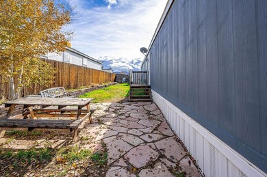 1033 Gilsonite Ave, MacK, CO 81525 - photo 4