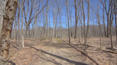 4336 Hills Haven Rd, Buchanan, MI 49107 - photo 4