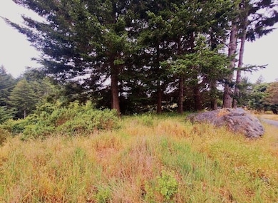 146 Spring Rd, Shelter Cove, CA 95589 - photo 2