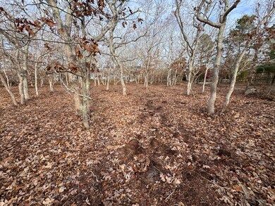 36 Boylston Dr, Edgartown, MA 02539 - photo 7