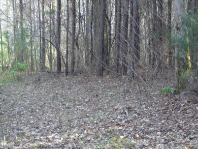 9 Southview Dr, Anderson, SC 29621 - photo 6