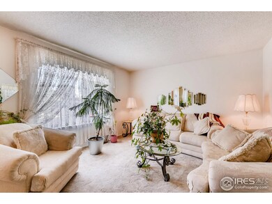 11815 Adams St, Thornton, CO 80233 - photo 6