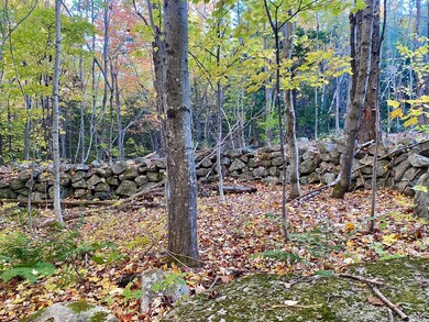 2,4,6 Willis Bean Rd, Eaton, NH 03832 - photo 5