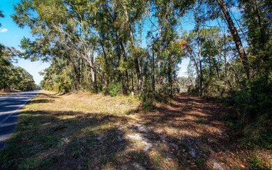 TBD N County Road 349, O'Brien, FL 32071 - photo 5