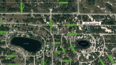393 Morningside Dr, Lake Placid, FL 33852 - photo 3