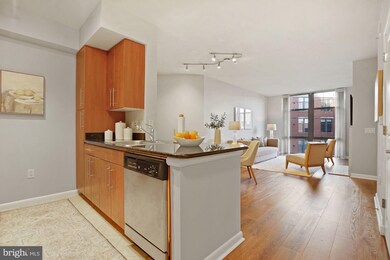 Clarendon 1021 unit 532, Arlington, VA 22201 - photo 5