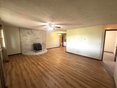 5890 Farm Road 2190, Exeter, MO 65647 - photo 6