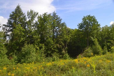 450 Emery Rd, Andover, NH 03216 - photo 6