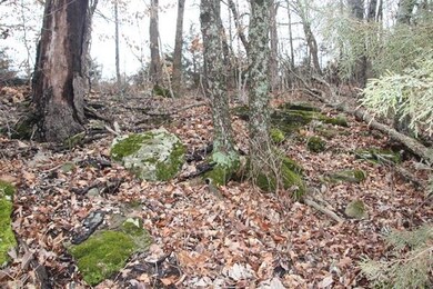 IMG_9617.jpg