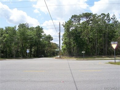 1990 E Norvell Bryant Hwy, Hernando, FL 34442 - photo 7