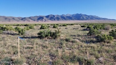 00827021 E Star Peak Rd, Imlay, NV 89418 - photo 5