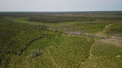 DJI_0755