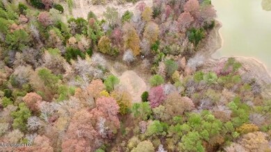 0 Border Rd, Carrollton, MS 38917 - photo 5