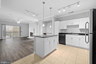 12917 Centre Park Cir unit 315, Herndon, VA 20171 - photo 5