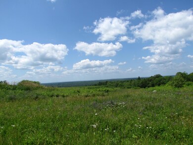 Looking towards White Mountains