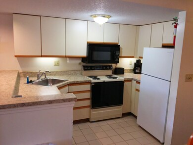 164 Deer Park Dr unit 178 D, Woodstock, NH 03262 - photo 4