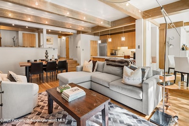 1034 E Cooper Ave unit 24A, Aspen, CO 81611 - photo 4