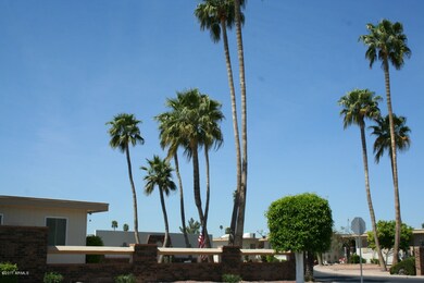 Palm Trees