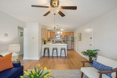 21 Warren St unit B-1, Waltham, MA 02453 - photo 5