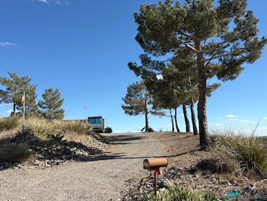 521 E Trailing Heart Dr, Silver City, NM 88061 - photo 7