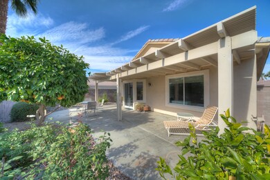 Photo-8