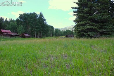View of yard featuring a mountain view and a forest view
