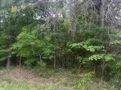 29 AC Cr 3321 unit Talley Road, Longview, TX 75602 - photo 2