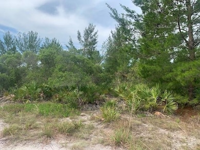 0 Holopaw Groves Rd unit F10536907, Saint Cloud, FL 34772 - photo 2
