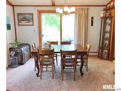 2382 Hammer Rd, Arenzville, IL 62611 - photo 5